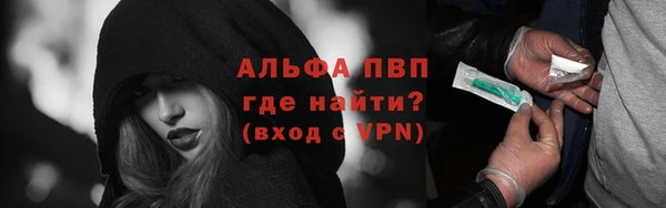 гидра Пересвет
