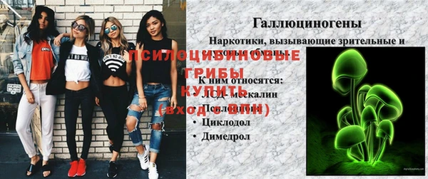 амф Алексеевка